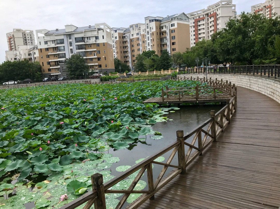 尚阳湖-铁岭市必去景点