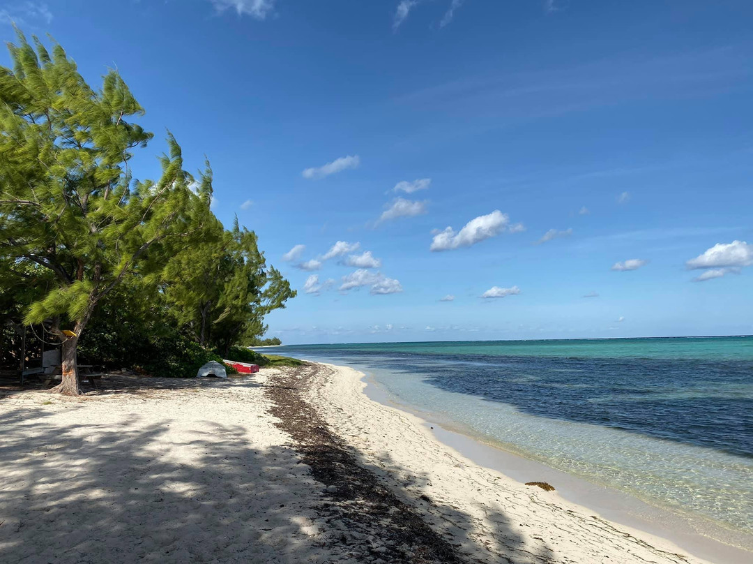 Kitesurf Cayman景点图片