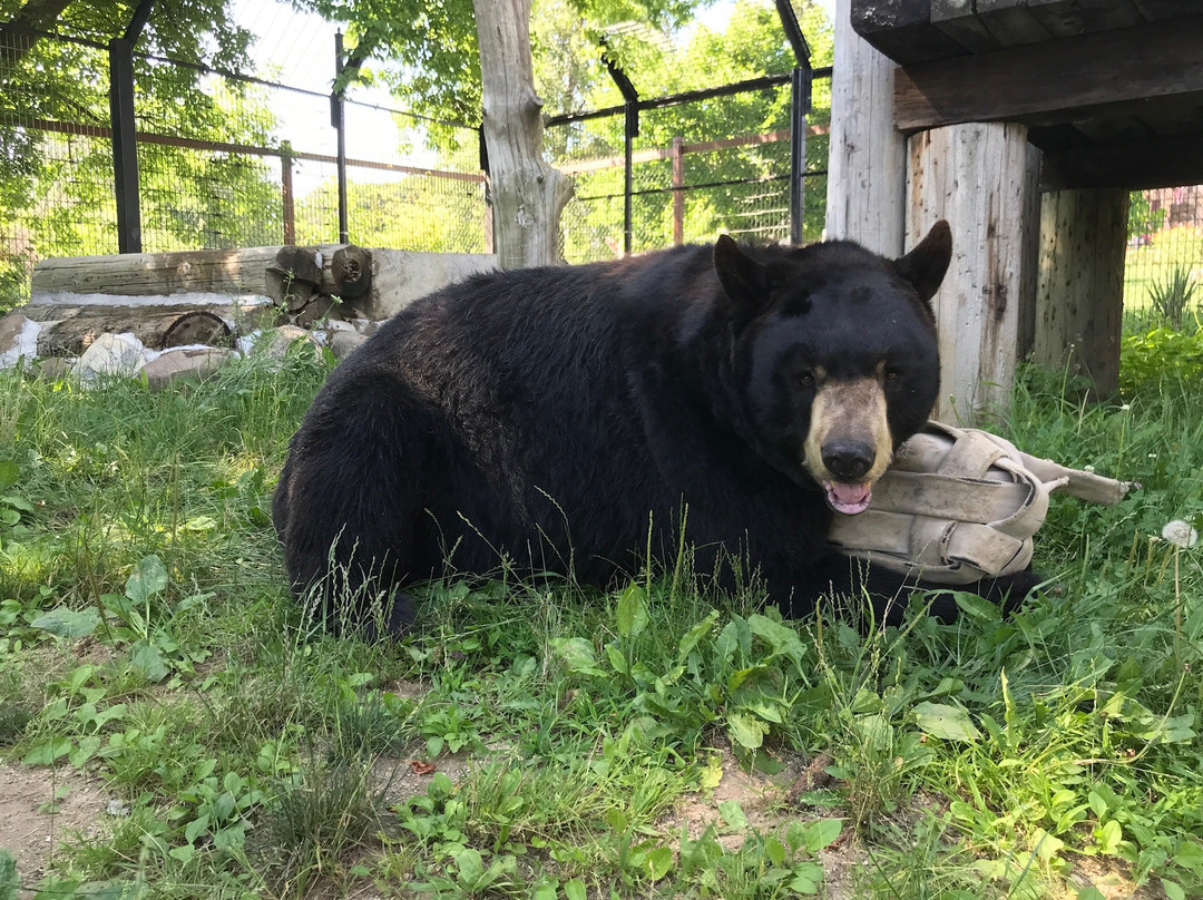 Bear Den Zoo & Petting Farm