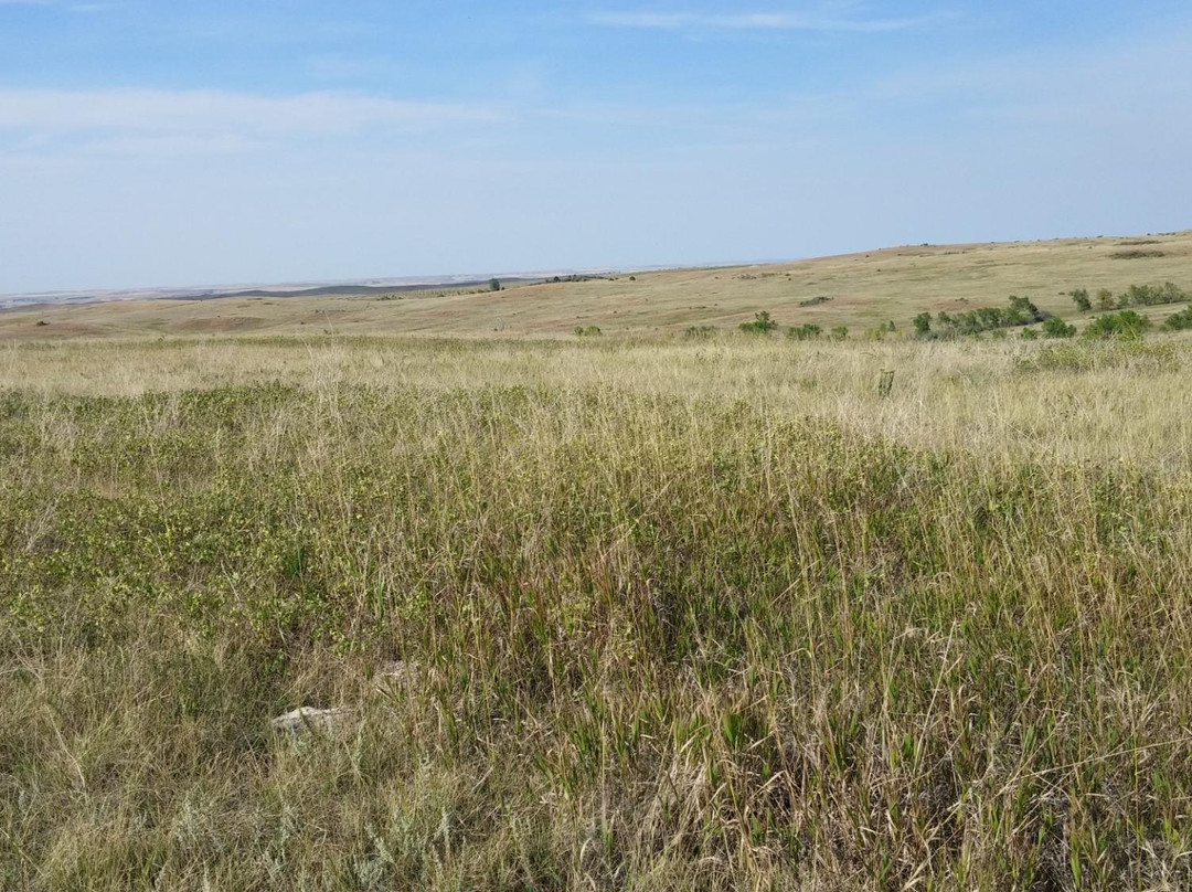 Little Missouri National Grassland景点图片