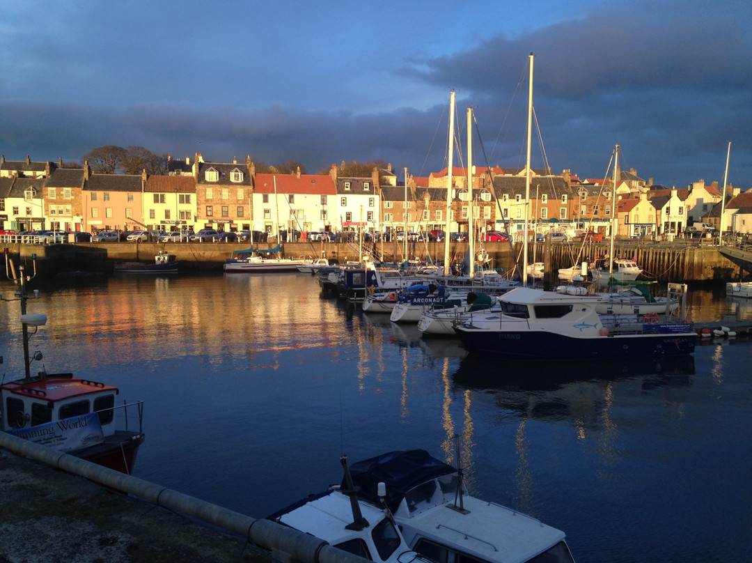 Anstruther Harbour景点图片