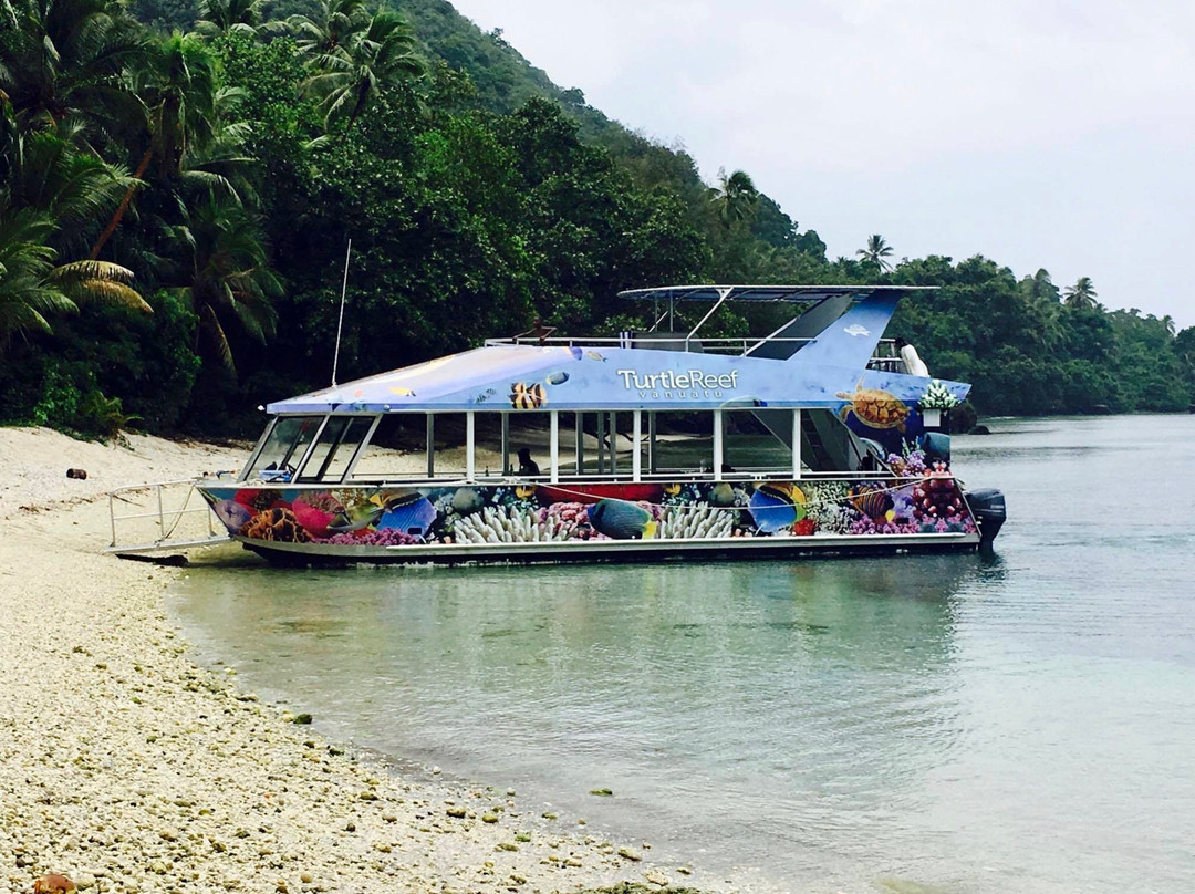Turtle Reef Vanuatu-维拉港必去景点