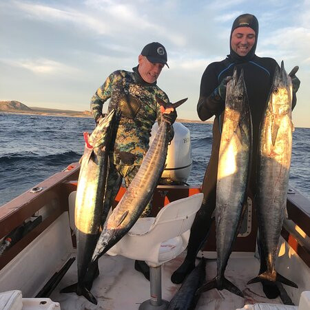 Baja Azul-拉巴斯必去景点