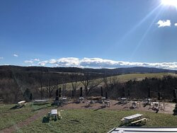 Chrysalis Vineyards at The Ag District-Middleburg必去景点