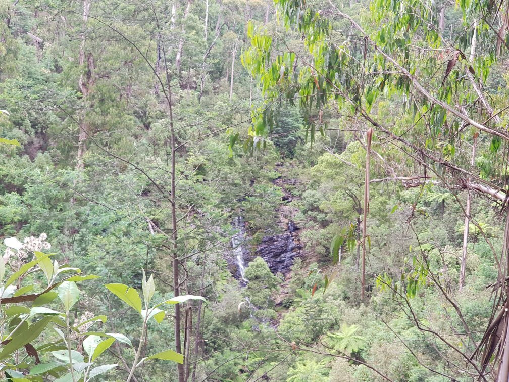 Wombelano Falls-Kinglake必去景点