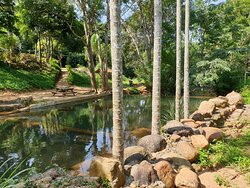 Nature Hub Koslanda主图