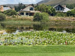 Arabella Golf Estate-赫曼努斯必去景点