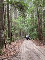 弗雷泽岛背包客青年旅舍主图