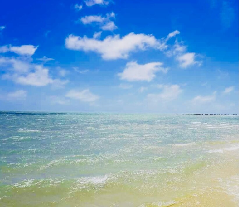 Mannar Island-马纳尔必去景点