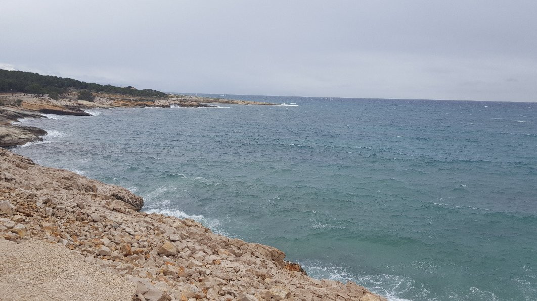 Office De Tourisme De Sausset Les Pins-Sausset-les-Pins必去景点