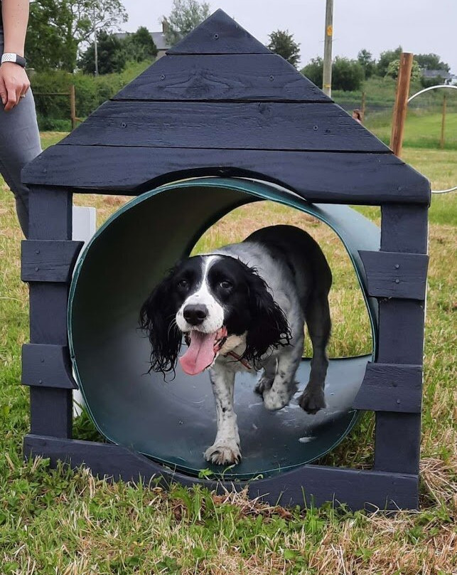 Unleashed Dog Adventure Park景点图片