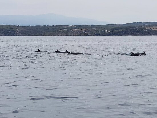 Frimir-Rent-苏佩塔尔必去景点