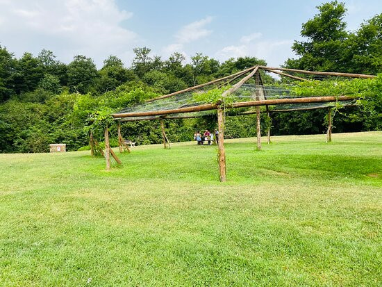 Valle del Treja-Calcata必去景点