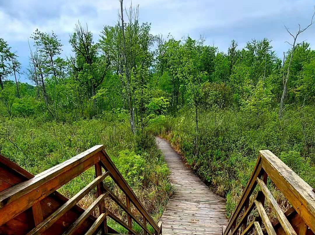 Seven Ponds Nature Center景点图片