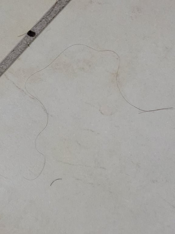 Comfort Inn & Suites High Point - Archdale主图