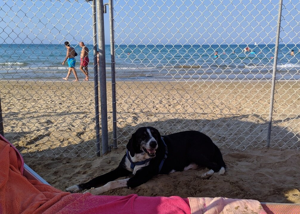 Bagni Blasco119-塞尼加利亚必去景点