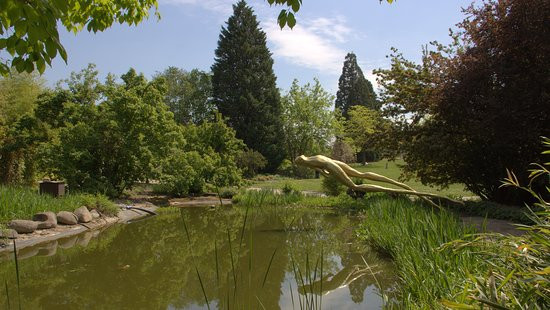Prague Botanical Garden景点图片