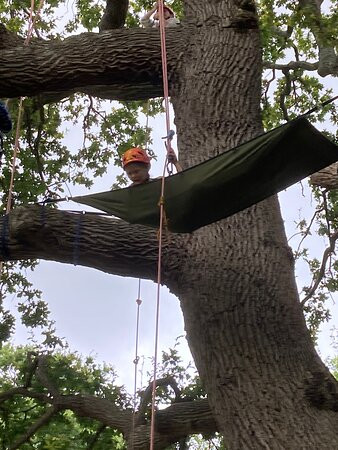 Goodleaf Tree Climbing-赖德必去景点