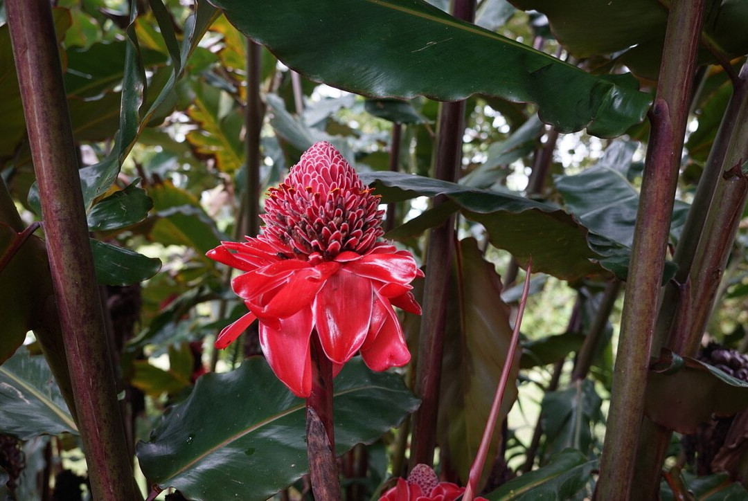 Essence Arenal Hotel, Biofarm & Spa主图