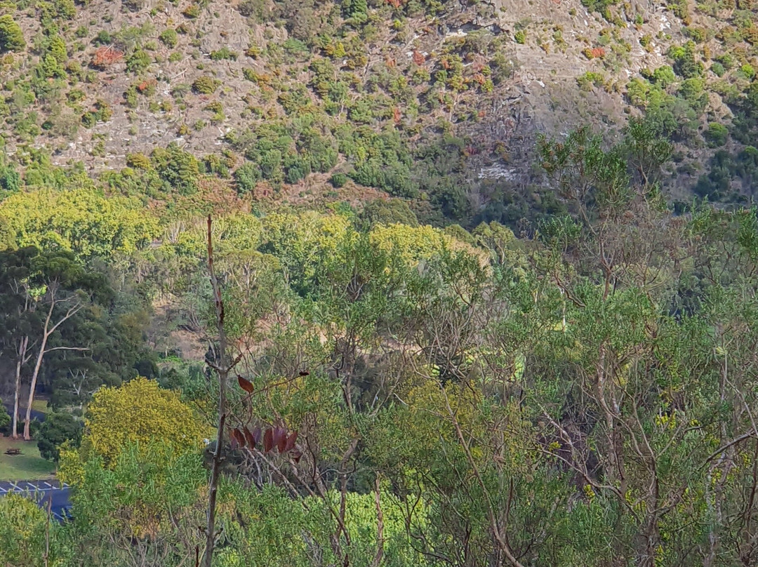 Potters Point Lookout景点图片