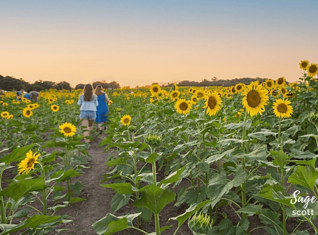Grinter Farms-劳伦斯必去景点