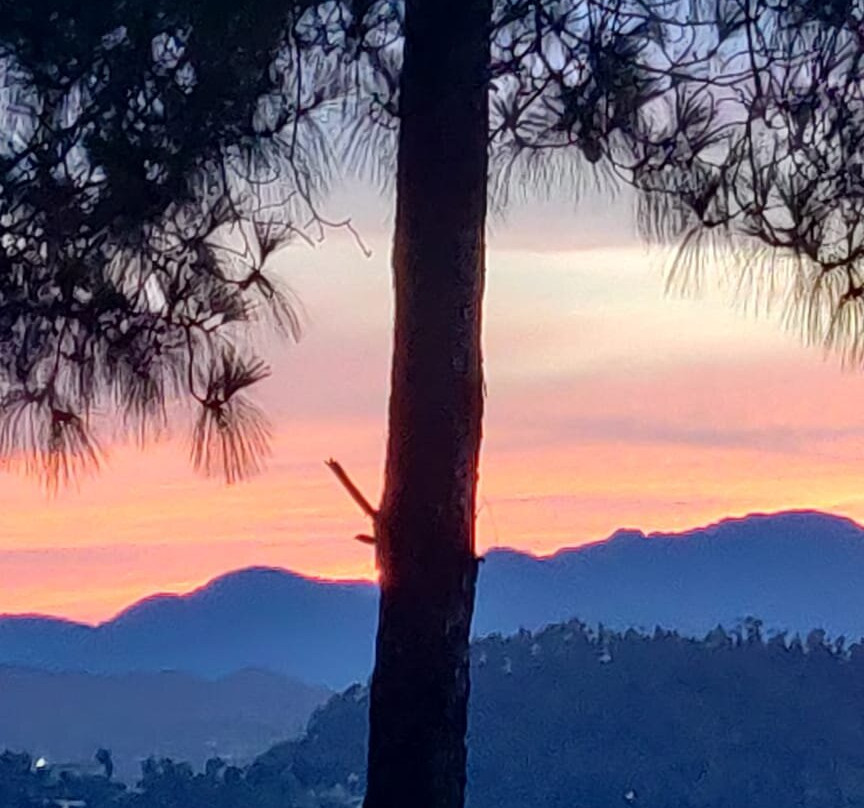 Mumukshu Resort主图