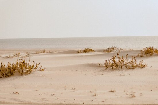 White Dune Kiting-达赫拉必去景点