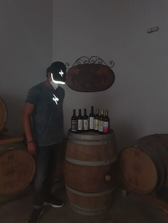 Bodegas Pinesque-奇瓦瓦州必去景点