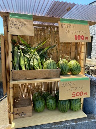 Miura Kaingan Beach-三浦市必去景点