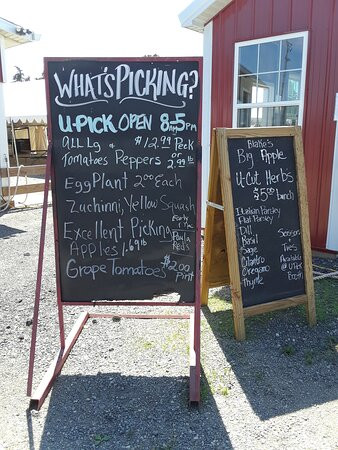 Blake's Orchard & Cider Mill-Armada必去景点