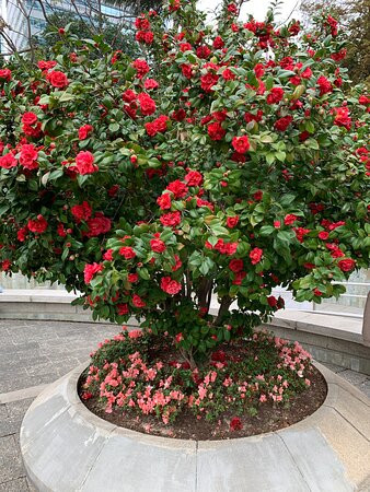 机利臣街市场-香港必去景点