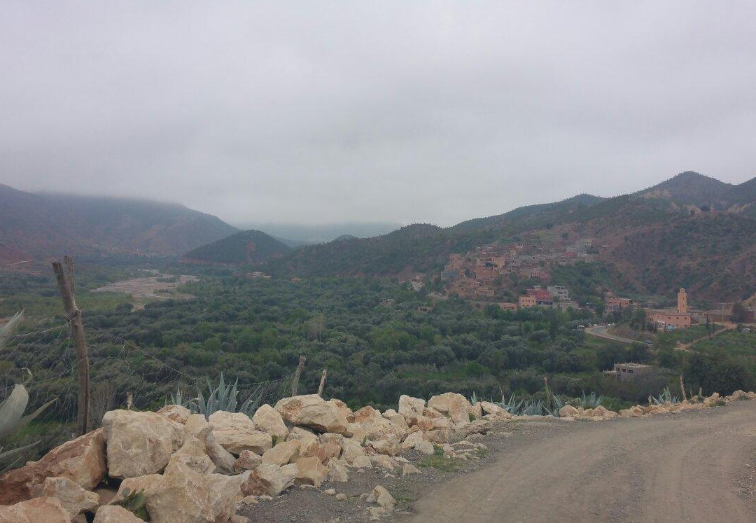 若羌县旅游攻略图片