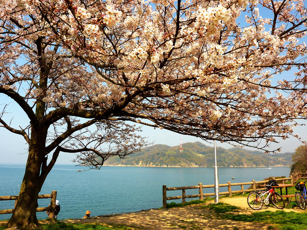 Kuroshima Seashore Park Lookout Park景点图片