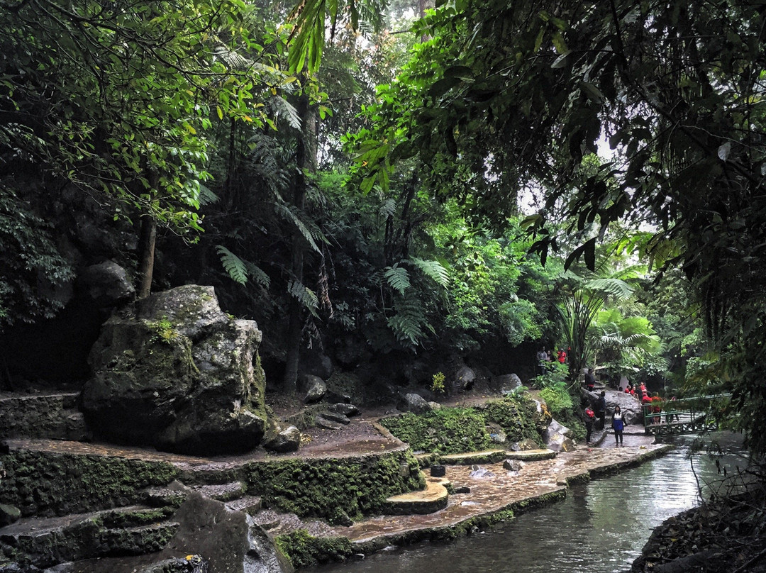 Palutungan & Curug Putri景点图片