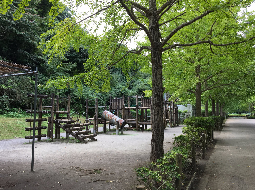 Nango Kaminoyama Park景点图片