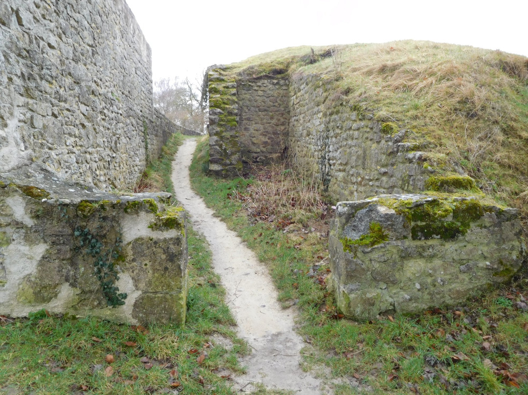 Ruines Gallo-Romaines de Champlieu景点图片