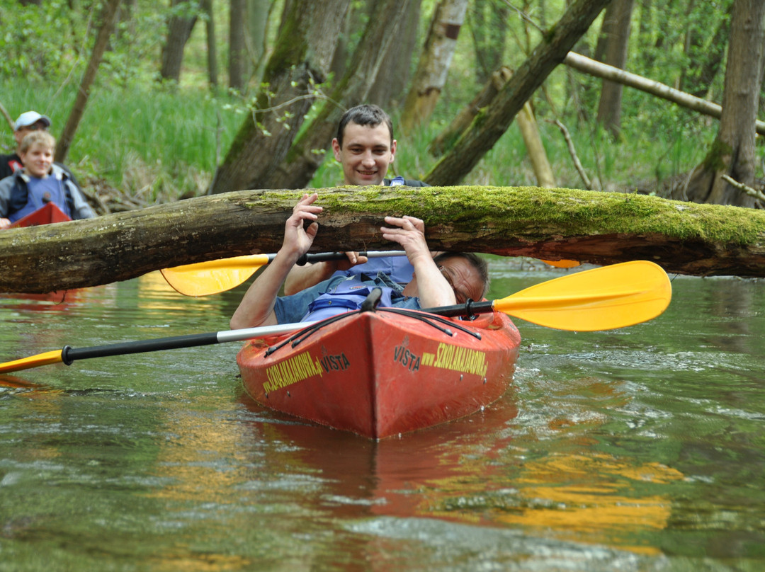 Plonia旅游攻略图片