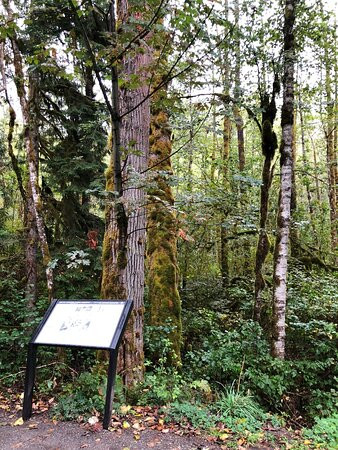 North Cascades Visitor Center-North Cascades National Park必去景点