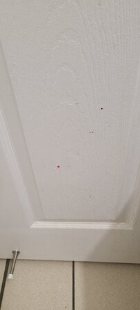 Best Western Acadia Hotel主图