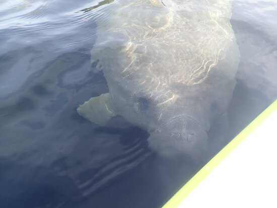 Paddleboard Orlando-奥兰多必去景点