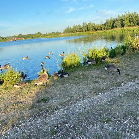 Longham Lakes景点图片