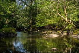 Etang de Bois Pouvreau et son chaos granitique景点图片