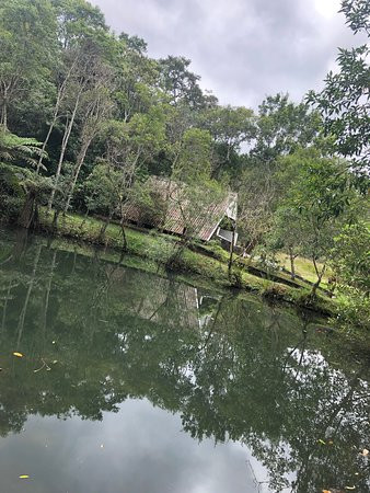 Parque Natural Municipal Francisco Affonso de Mello景点图片
