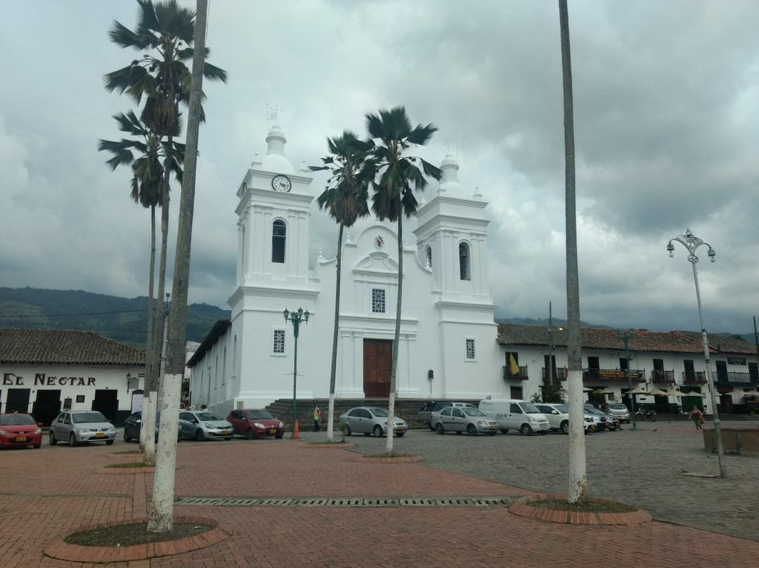 Catedral de San Miguel Arcangel景点图片