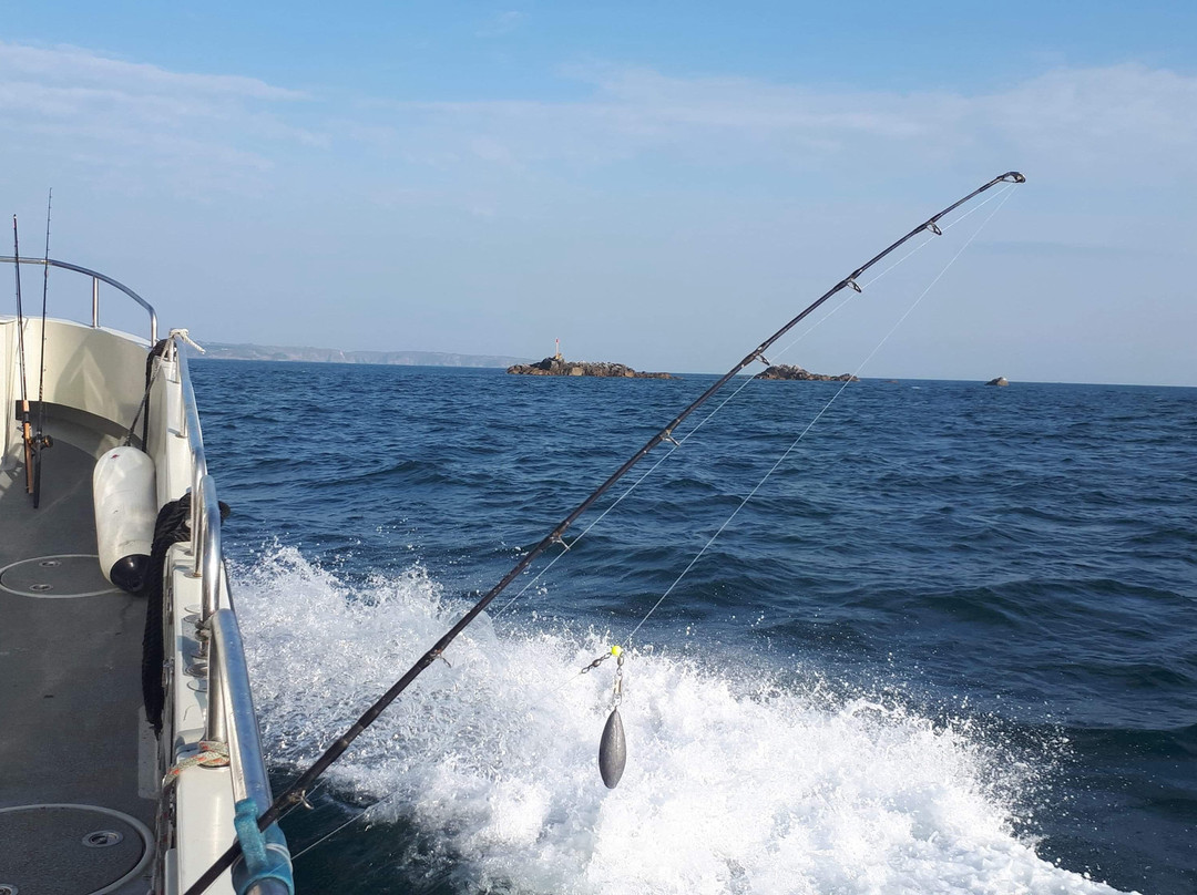 Out The Blue - Charter Boat trips景点图片