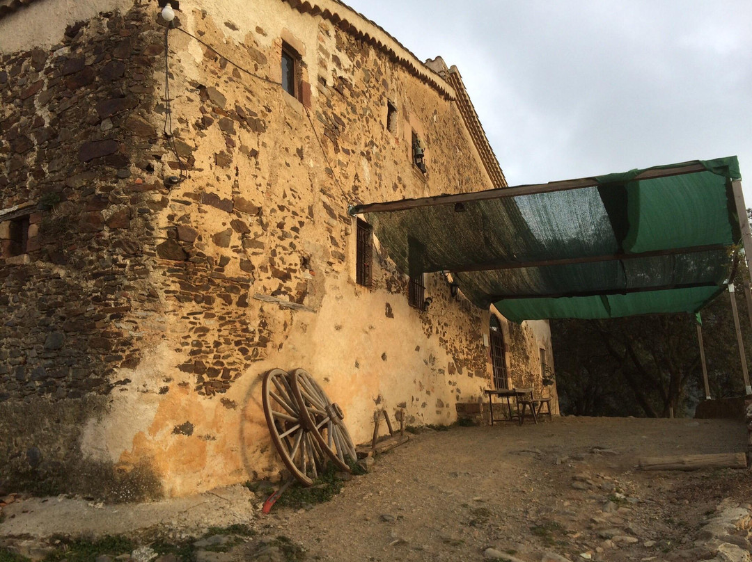 Canoves i Samalus旅游攻略图片