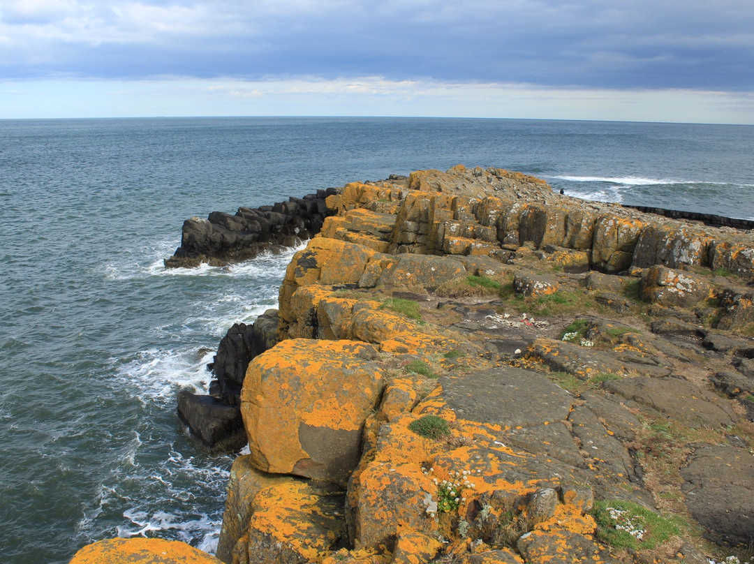 Craster旅游攻略图片