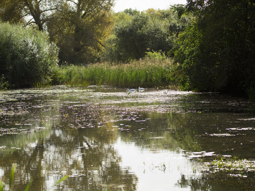 Woods Mill Nature Reserve景点图片
