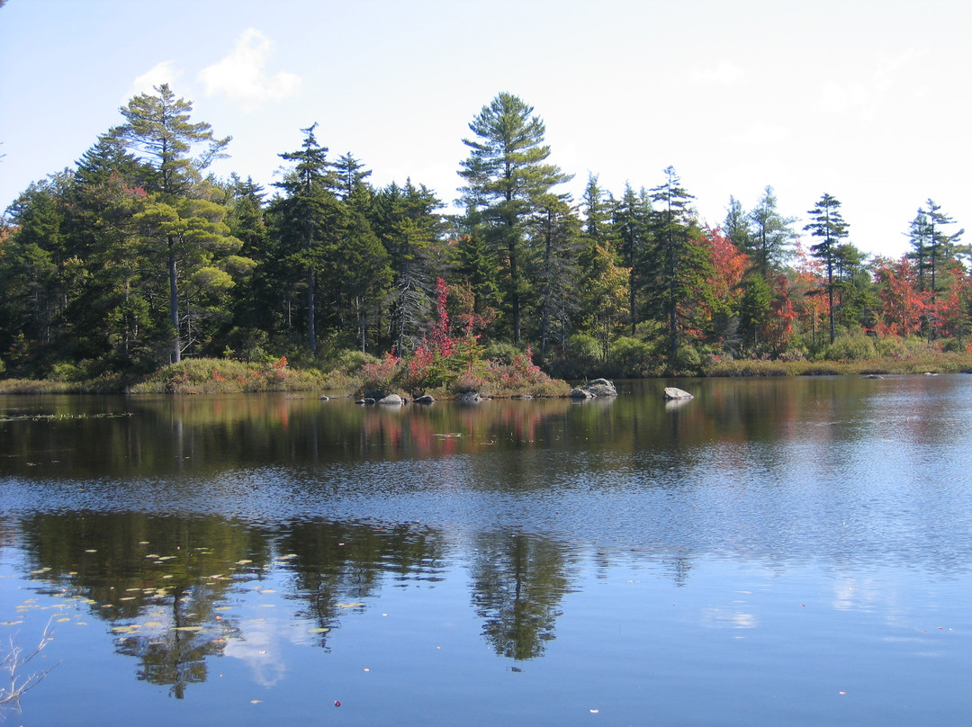 Pillsbury State Park景点图片