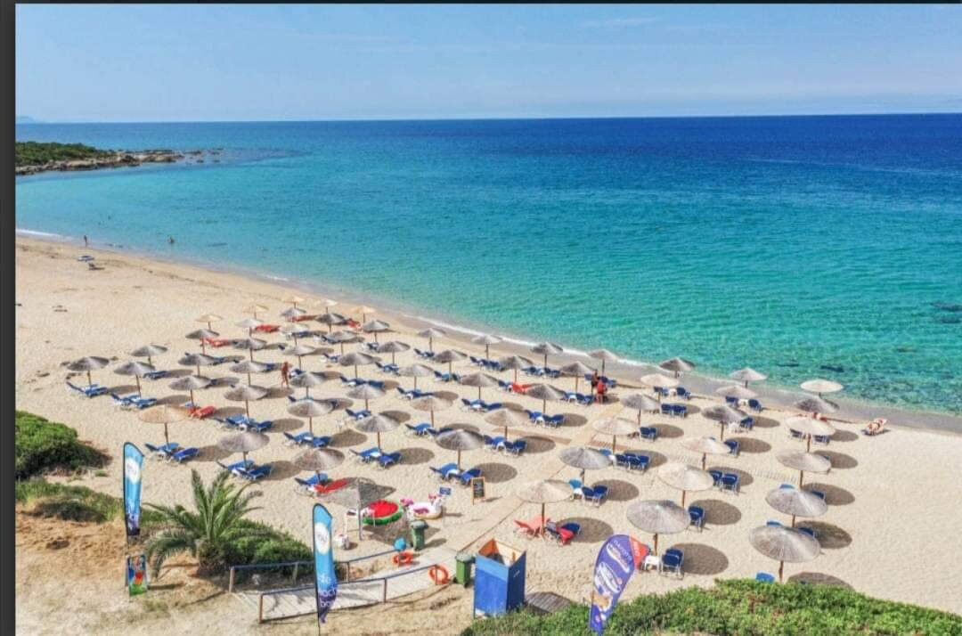 Riza餐馆和美食-Nalu Cafe Beach Bar